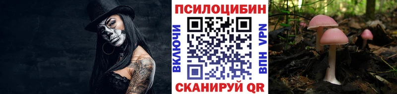 где купить   blacksprut ссылка  Псилоцибиновые грибы мухоморы  Хадыженск 